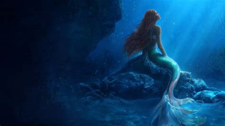 A.r. The Mermaid from USA