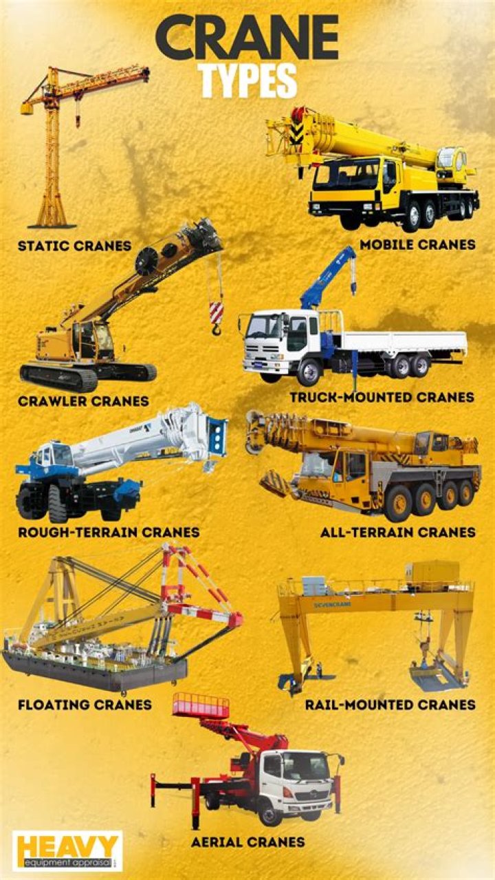 Don't Mind by The Crane from Taiwan