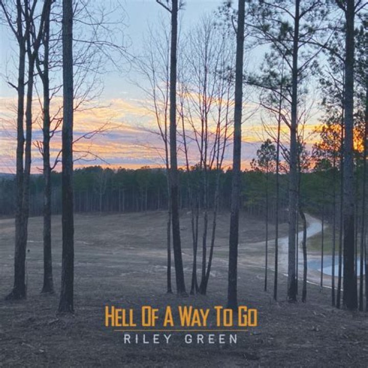 Hell Of A Way To Go by Riley Green from USA