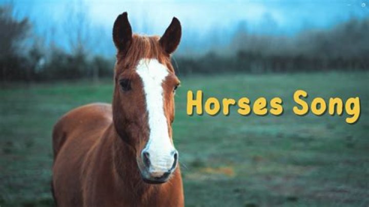 Horse Songs For Children | Popnable