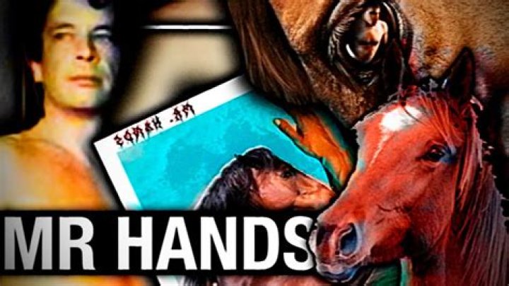 Horse Video Orange Shirt: Mr Hands Horse Original Video Gone Viral Again