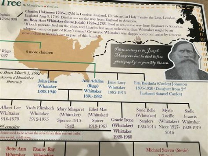 Is Bobby Witt Jr Related To Ernie Witt? Family Tree